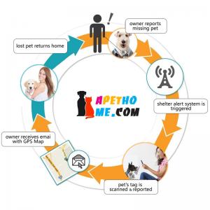 Personalizado etiquetas de perro y gato tags acero inoxidable Smart PET id tag codigo QR escaneado ubicacion GPS