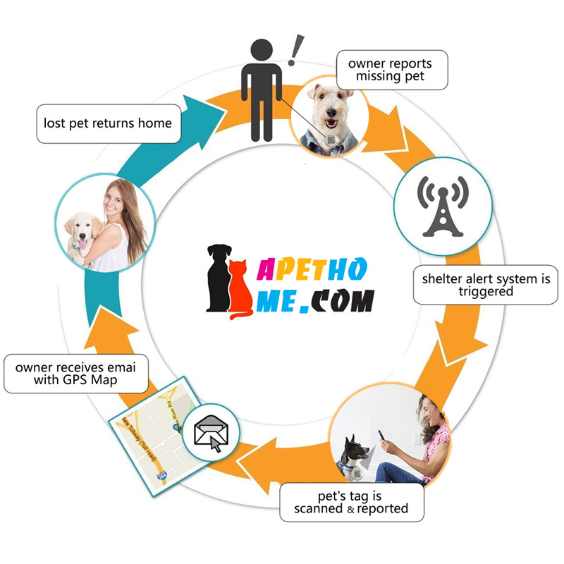 Personalizado etiquetas de perro y gato tags acero inoxidable Smart PET id tag codigo QR escaneado ubicacion GPS