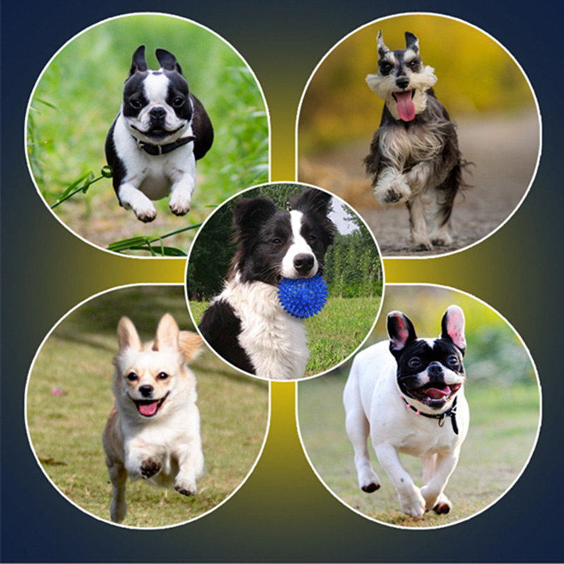 Cómo reducir el poder destructivo de los perros