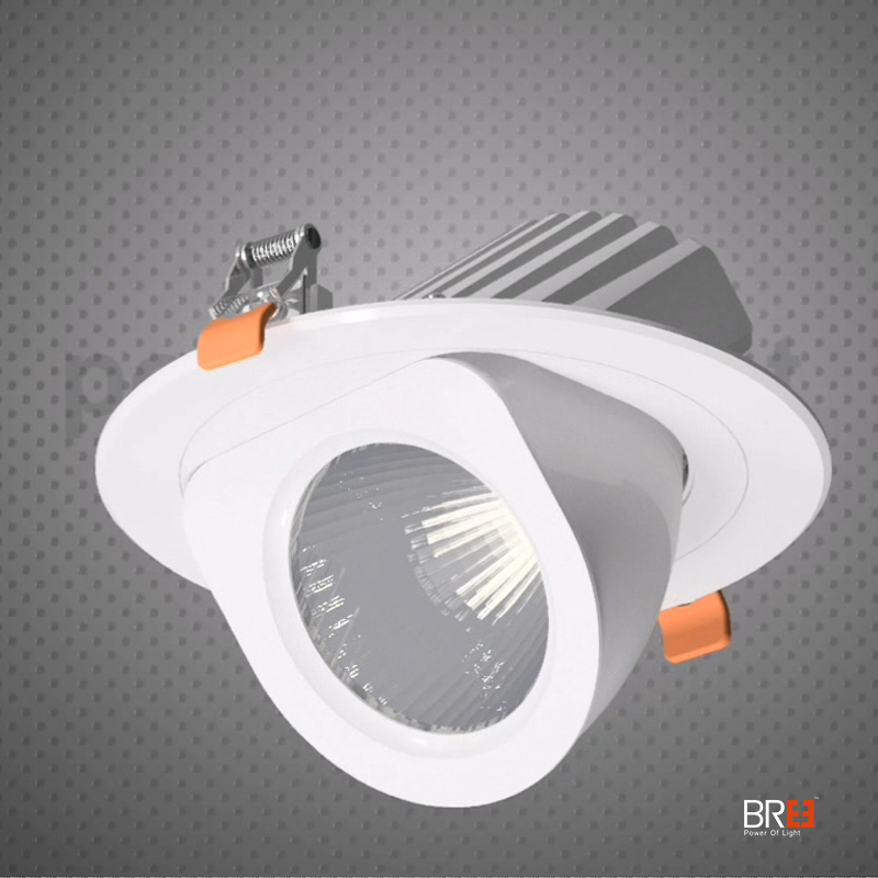 Gimbal abajo luz de punto girado abajo luz 30W