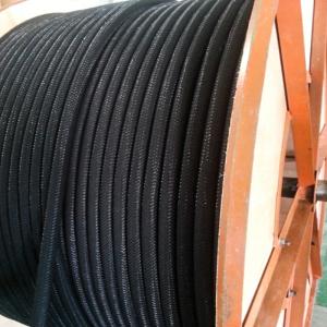 Flexible de polímero conductor anodo