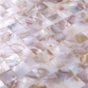 Mosaico de concha natural de arte mural para el fondo de la villa