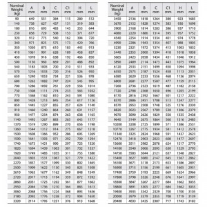 Tipo Calvo Marino Sin Anclas