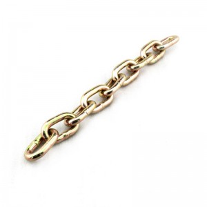 Cadena de transporte de acero de aleación G70 Nacm-96 YZ