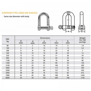 Tipo europeo galvanizado gran Dee grillete