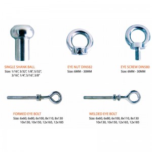 316 tuerca de anillo DIN582 forjado