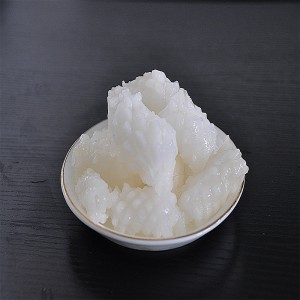 Flor de calamar congelado