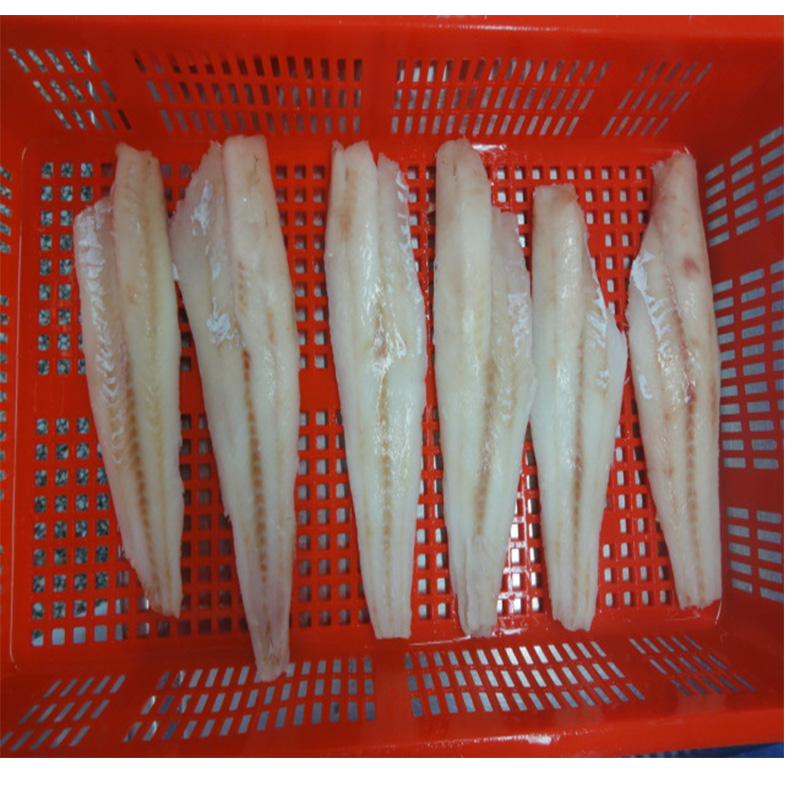 Filetes de abadejo de Alaska congelados