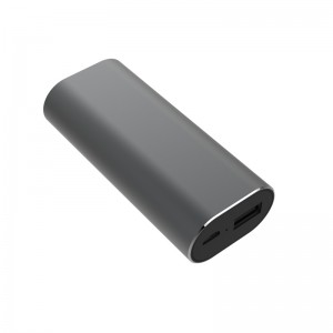 Auriculares de Traductor de Voz Inteligente WS-P2