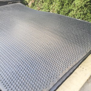 Las protuberancias de puntos no son densas