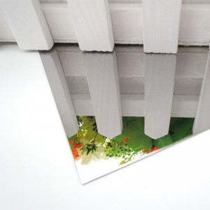 Hojas de acero inoxidable grabadas al agua fuerte con espejo de 304 8k para la decoración del elevador