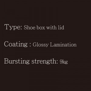 Caja de zapatos con tapa tipo1