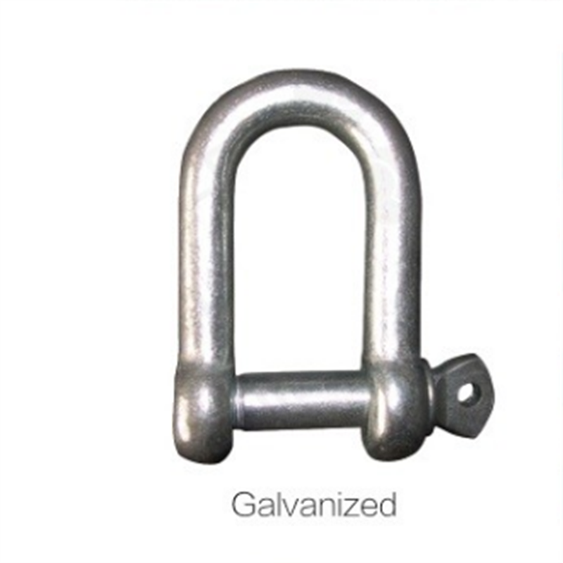 SS 304 Acero Inoxidable D Shackle 4MM Arco Shackle