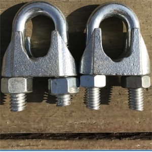 Tipo de acero inoxidable DIN741 Clip de cuerda de alambre forjado