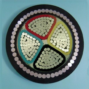 Cable blindado de aluminio de Electric Power Xlpe / Cable blindado de 4 núcleos