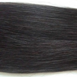 Cola de caballo - corona08