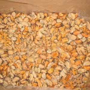 Carne de mejillón hervida congelada