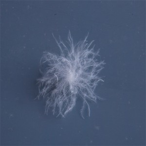 Pato natural, material de plumas de ganso