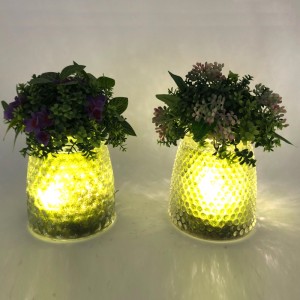 Plantas suculentas artificiales decorativas de sobremesa de cristal del LED con el florero de la exhibición del globo