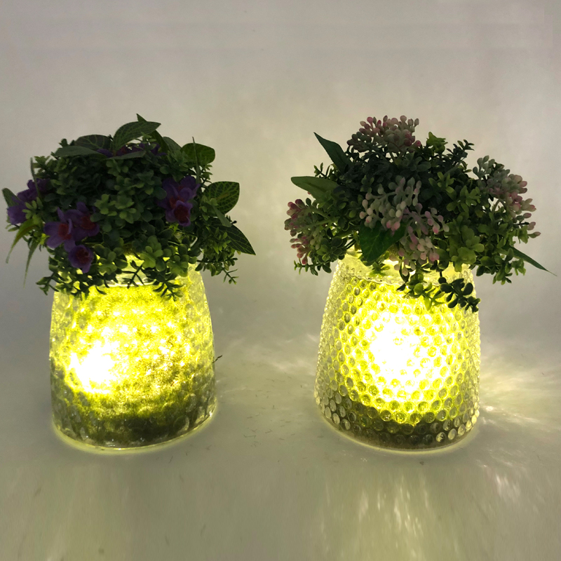 Plantas suculentas artificiales decorativas de sobremesa de cristal del LED con el florero de la exhibición del globo