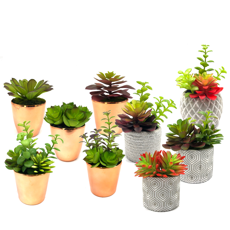 Mini plantas suculentas artificiales con maceta decorativa de sobremesa decorativa para el hogar