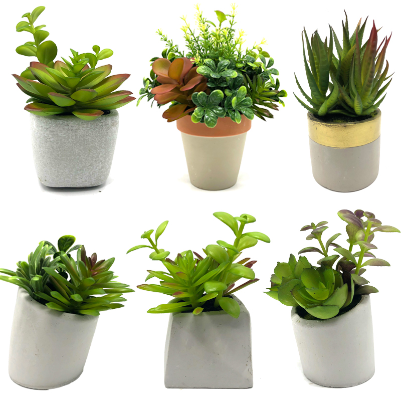 Mini plantas suculentas artificiales con maceta decorativa de sobremesa decorativa para el hogar