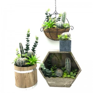 Conjunto de cactus artificial para el hogar o la oficina en maceta decorativa Decoración suculenta