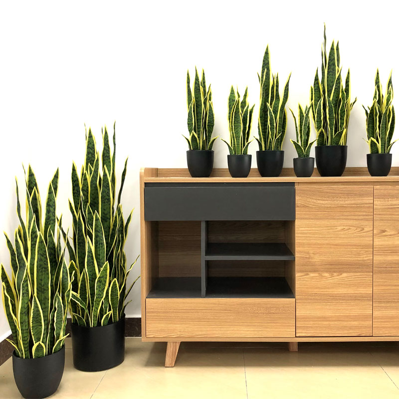 Lengua artificial de la suegra buena como planta de serpiente Decoración de la oficina en el hogar
