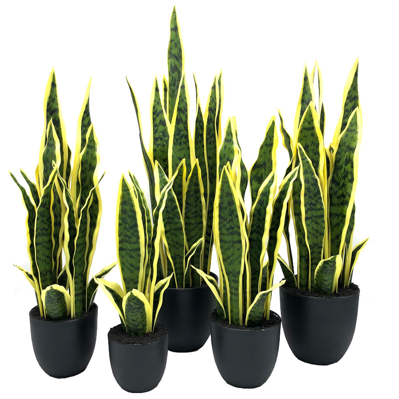 Lengua artificial de la suegra buena como planta de serpiente Decoración de la oficina en el hogar