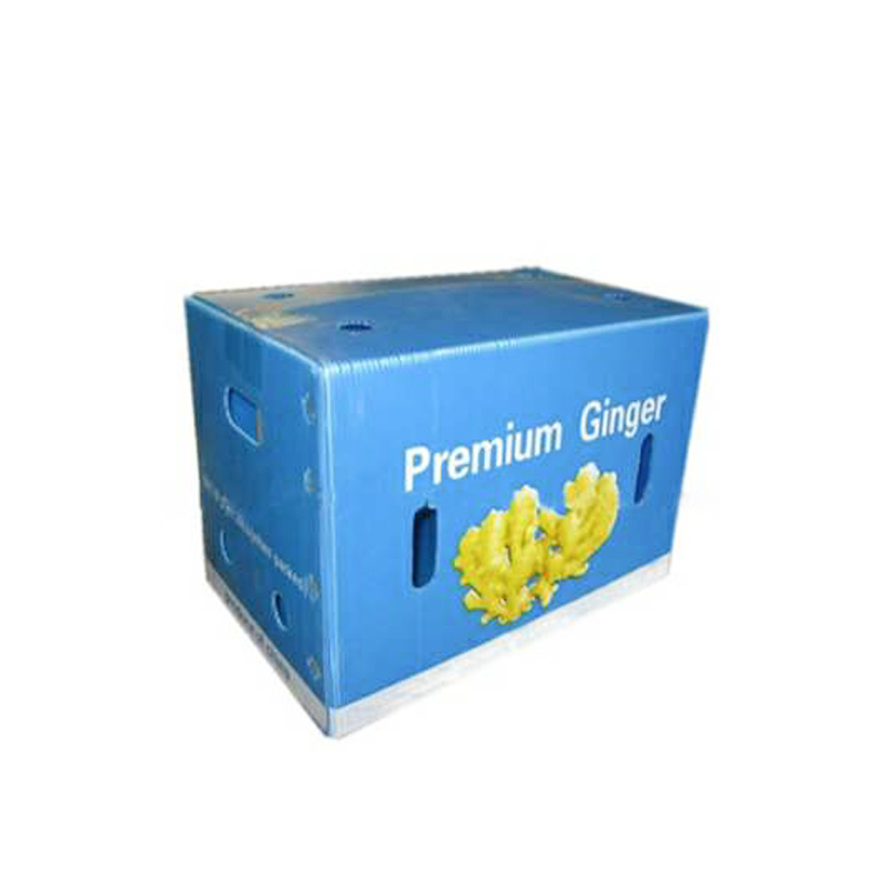 Caja de jengibre