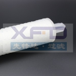 Cartucho de filtro plisado --- RFG