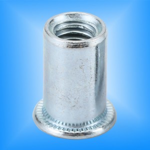 Cabeza plana cuerpo redondo