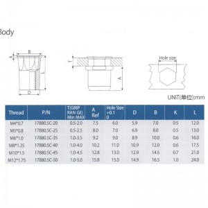 Reducir cabeza hexagonal cuerpo hexagonal interno