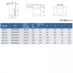 Ascensor Reducir tuercas de remache de cabeza