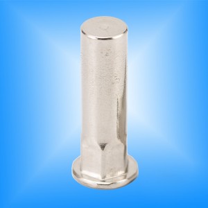 Cabeza plana, cuerpo semi hexagonal, extremo cerrado