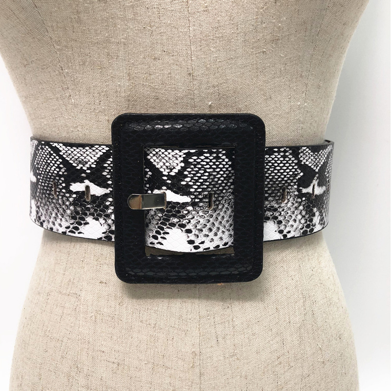 HD0827 - Cinturón de cuero de piel de serpiente de colores Pin de hebilla de lujo Mujeres Cinturones de PU Abrigo Corsé de faja de faja Cinturón de vestir para mujer