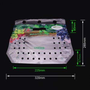 Bolsa de embalaje de plástico con cierre de fruta de uva impresa ecológica con orificios de ventilación