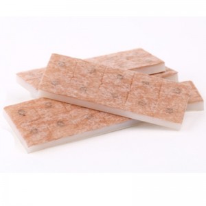 Agujas de prensa de acupuntura estériles