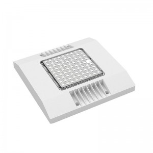 Nuevo 150W LED Canopy Light