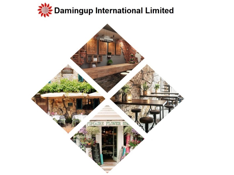 Damingup International Limited