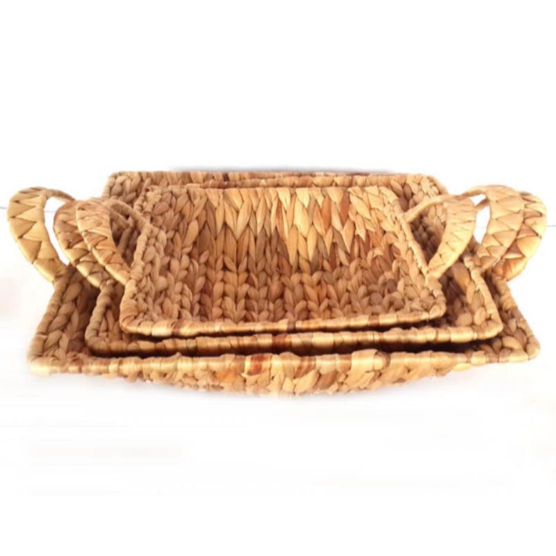 Jacinto de agua con asas