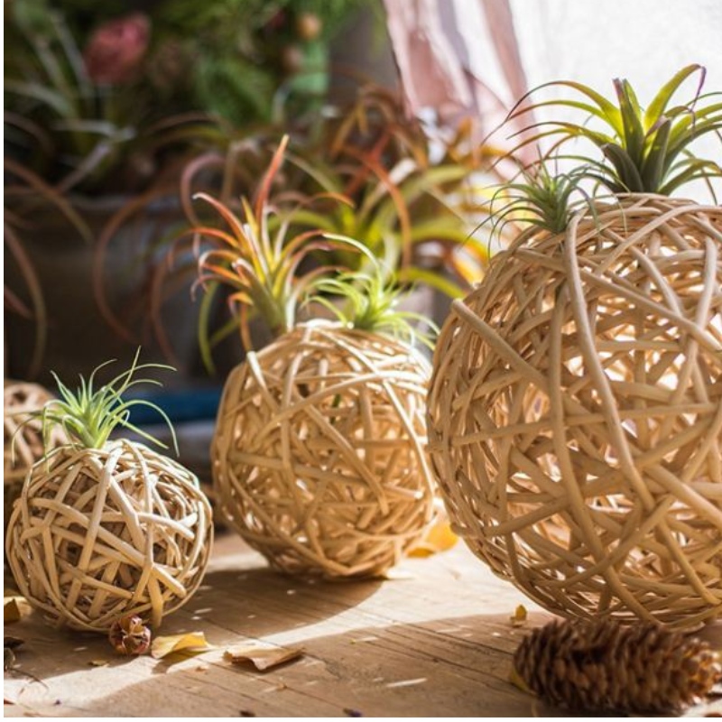 Hermosa boda, arte, decoración.