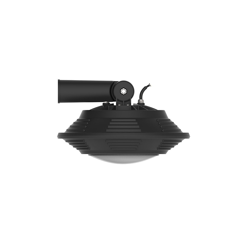 Mariscos voladores LED