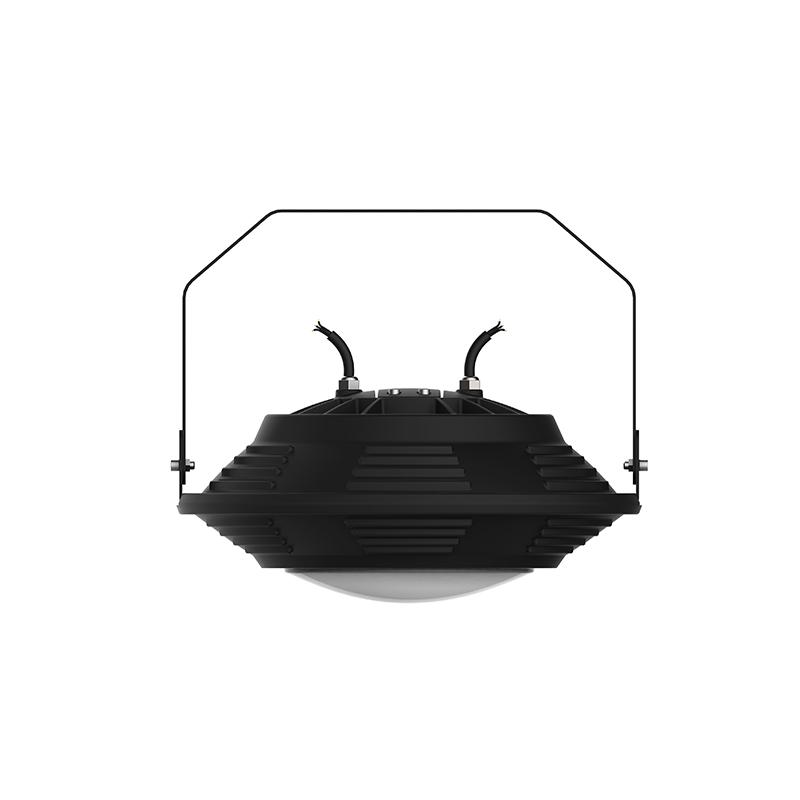 Mariscos voladores LED