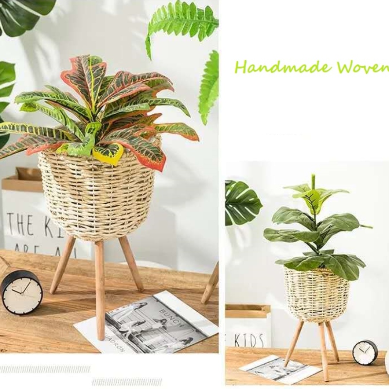 Best Home Decoration pop Plant