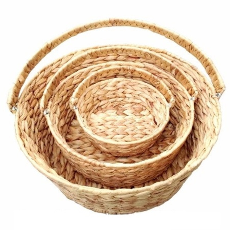 Jacinto de agua con asa