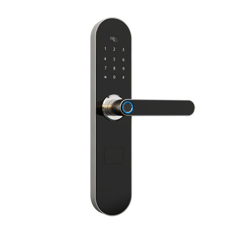 Venta al por mayor Smart Door APP Smart Lock con desbloqueo remoto wifi y Desbloquear consulta de registro
