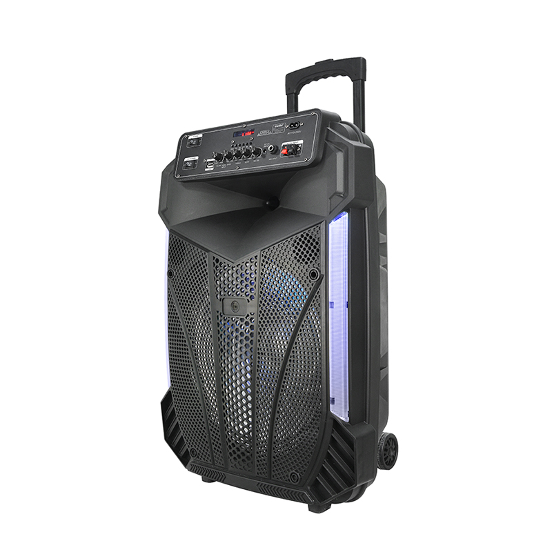 Altavoz y - K9 - 12zh