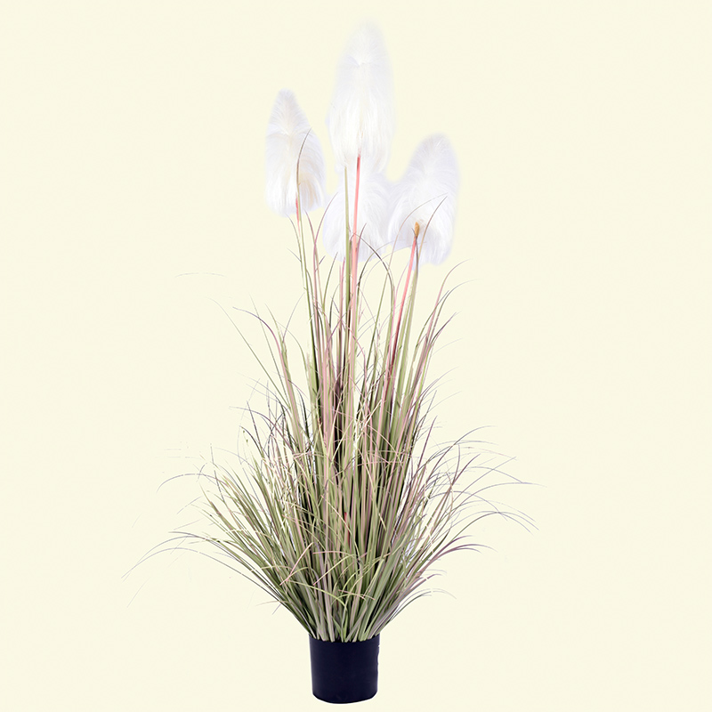 Ohh09200007 / ohh09200008 / ohh09200009