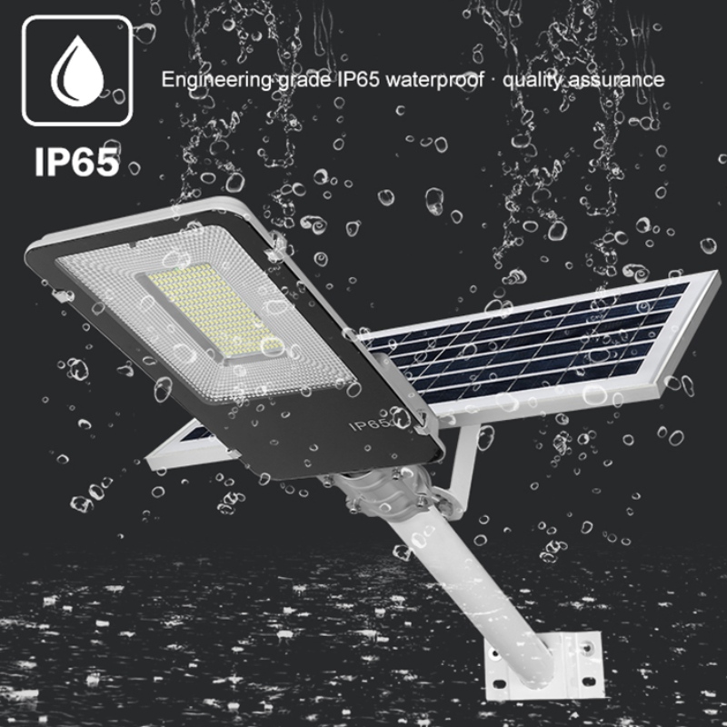 SMd ip65 solar LED Lights